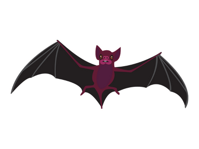 bat bird