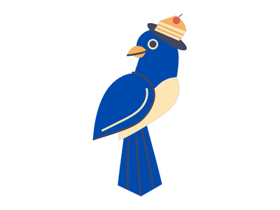 blue jay bird
