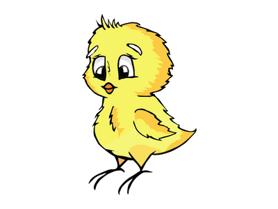 chick bird