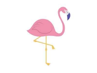 flamingo bird