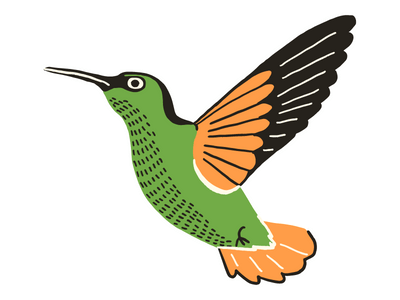 humming bird