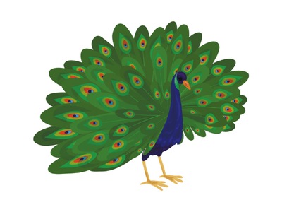 peahen bird